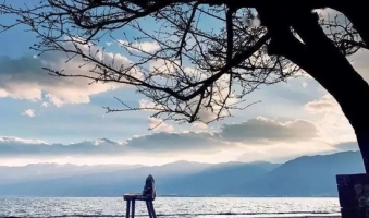 面朝洱海 做一场风花雪月的梦