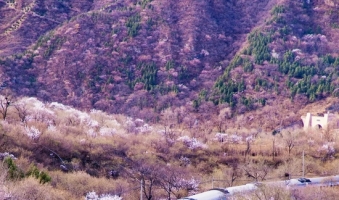 中国最美的6条铁路　路上就是风景